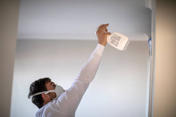 Best Best Mold Removal Companies  in Wilson, PA