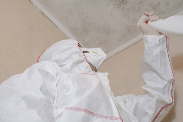 Water Damage Restoration in Wilson, PA